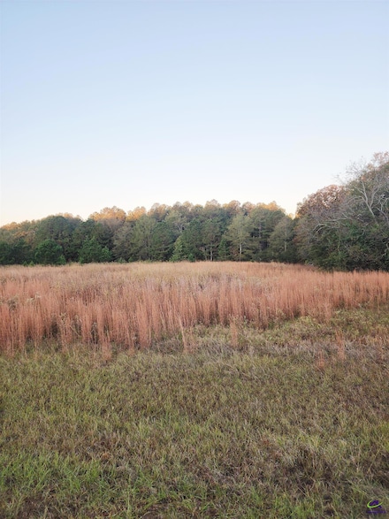 TRACTC-1B &C1A Kersey Rd Unit TRACT C-1B LL 216 LD, Elko, GA 31025