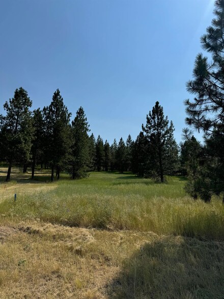498XX Forest Dr, Davenport, WA 99122