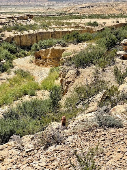 BLK 217 Mailbox Rd, Terlingua, TX 79852