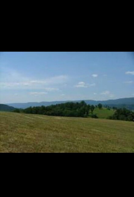 1010 Holiness Hollow Rd, Ewing, VA 24248