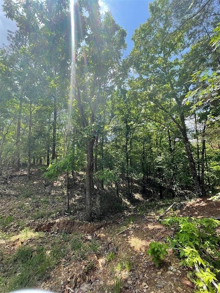 736 Timber Creek Trails South Xl, Broken Bow, OK 74728