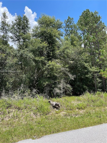 tbd SW 59th Ln, Dunnellon, FL 34431