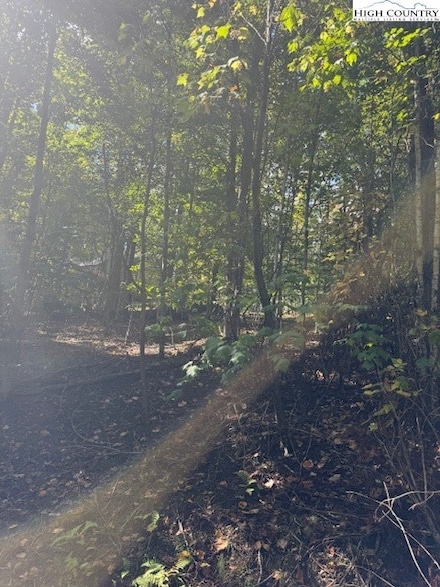 166 Wild Iris Ln, Beech Mountain, NC 28604