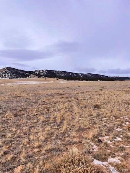 2620 Larimer Dr, Hartsel, CO 80449