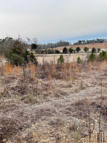 xx Hill St, Amity, AR 71921