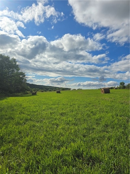 0 Potter Rd, Jasper, NY 14839