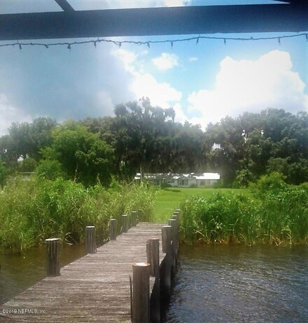 114 Beechers Point Dr, Welaka, FL 32193