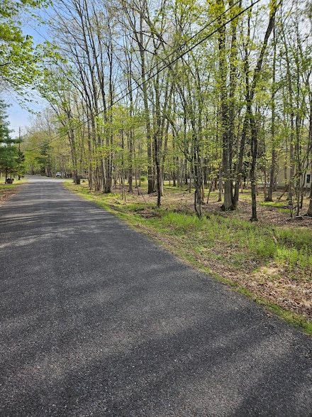 0 Towamensing Trail & Whitman Ln Unit PM-132609, Albrightsville, PA 18210