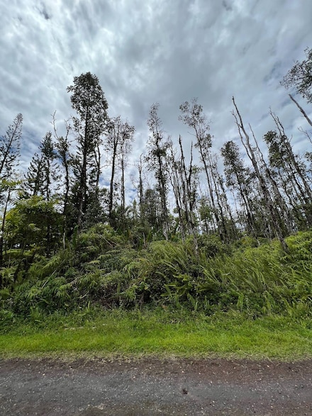14-3516 Church Rd, Pahoa, HI 96778