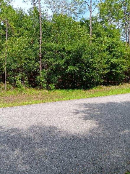 00 SW 206th Court Rd, Dunnellon, FL 34431