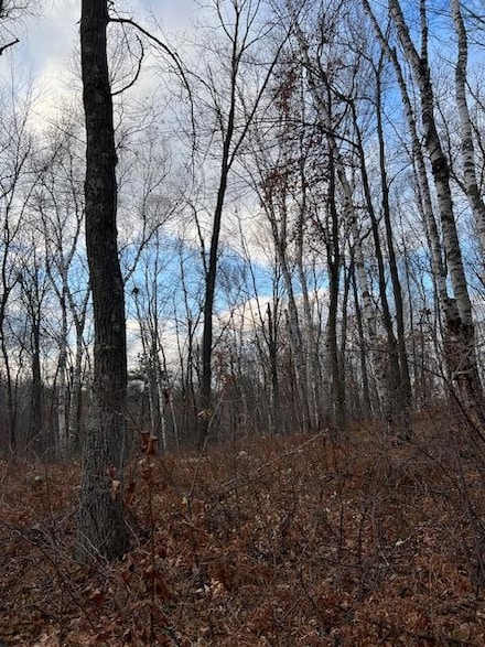 77 Acres Wickline Ln, Fifty Lakes, MN 56448