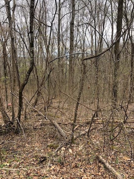 Lot 139 Spruce Dr, Other, TN 37381