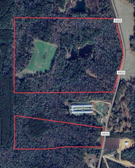00 County Road 4425, Brundidge, AL 36010