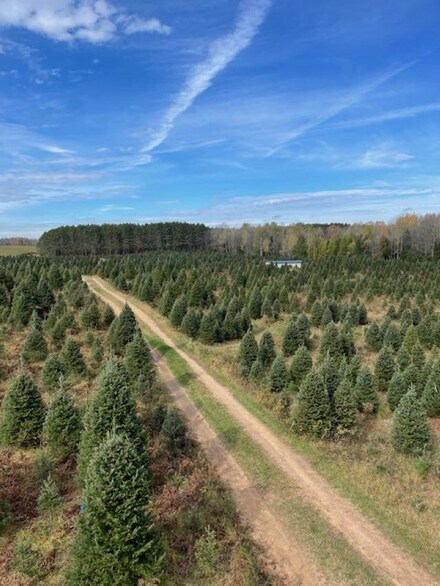 N680 U S 45, Antigo, WI 54409