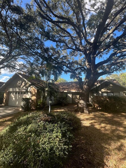 1118 Bramblewood Dr, Safety Harbor, FL 34695