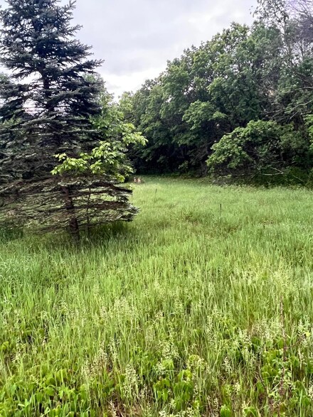 TBD 174th St NW, Orrock Township, MN 55309