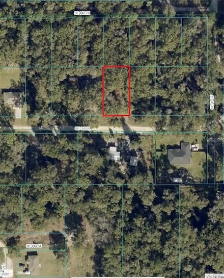 0 Undetermined Unit MFRS5116378, Summerfield, FL 34491