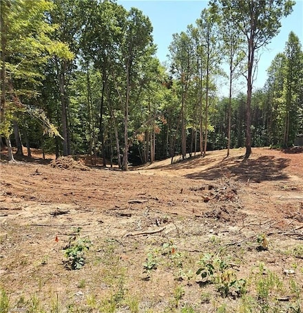 0 Goff Rd, King, NC 27021
