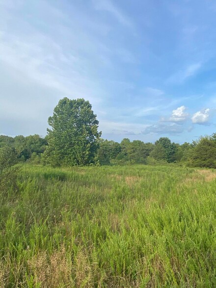 000 Sunset St, Fair Grove, MO 65648