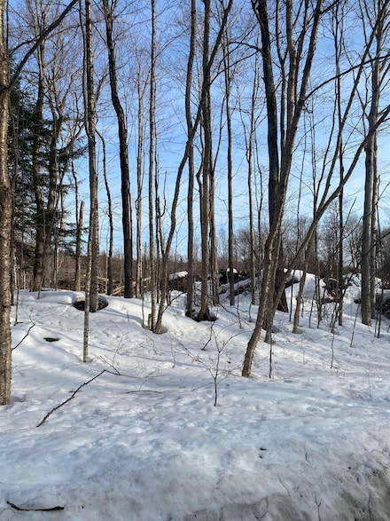 LOT 158/160 High Peak Way, Wilmington, VT 05363