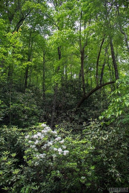 TBD Fox Den Rd, Brevard, NC 28712