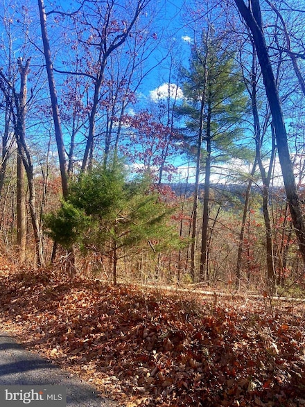 0 Spitz Ln Unit VASH2013116, Basye, VA 22810