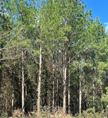709 Timber Creek Trails South Xl, Broken Bow, OK 74728