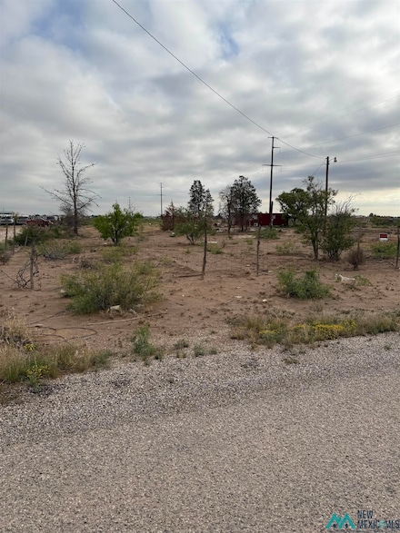 708 Winchester Rd, Carlsbad, NM 88220