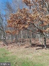 0 N Paul St, Ashland, PA 17921