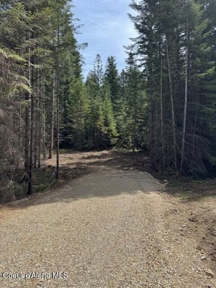 Lot 4 Nka Daytona Dr, Priest River, ID 83856