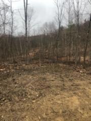 lot 39 Tripptown Rd, Hiram, ME 04041