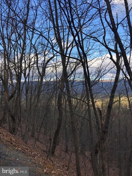 Lot 55 Fairway Dr, Basye, VA 22810