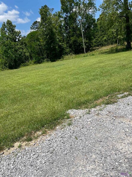 22232 La Highway 42, Livingston, LA 70754