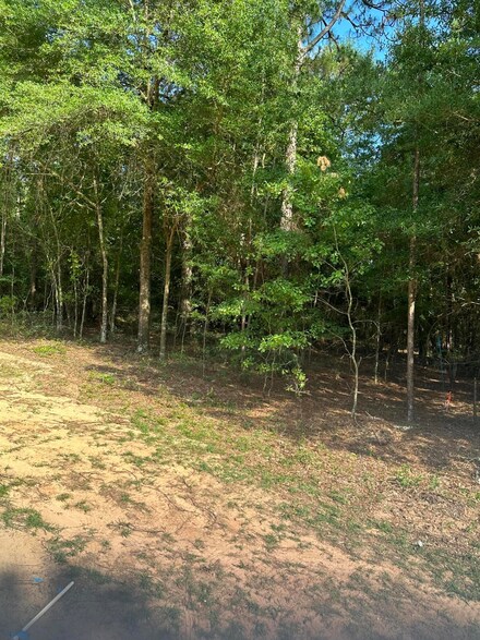 Lot Washington Ave, Beech Island, SC 29842