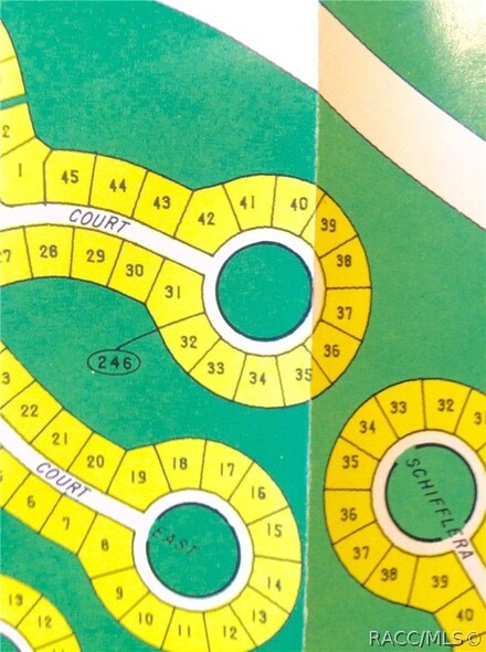 47 Matricaria Ct, Homosassa, FL 34446