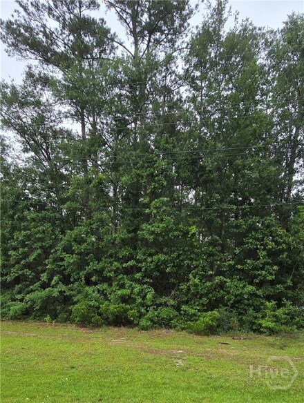 2 Acres South of 575 S Coastal Hwy, Riceboro, GA 31323