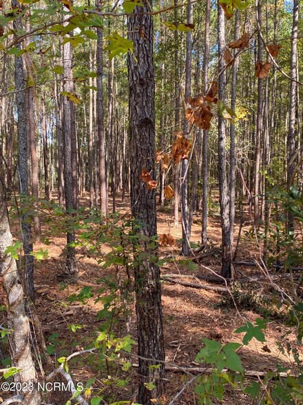 1 Highsmith Rd, Rocky Point, NC 28457
