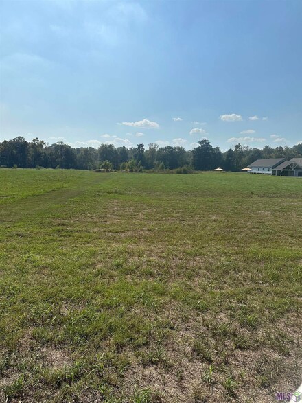 B-1 Island Rd, Jarreau, LA 70749
