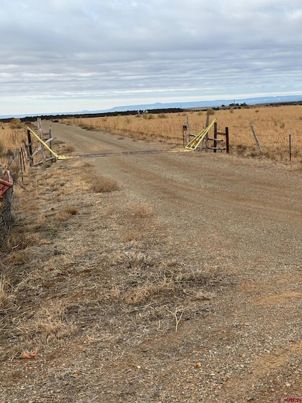 TBD Road 15, Yellow Jacket, CO 81335
