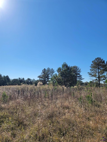 11 Lochridge Way, Cordele, GA 31015