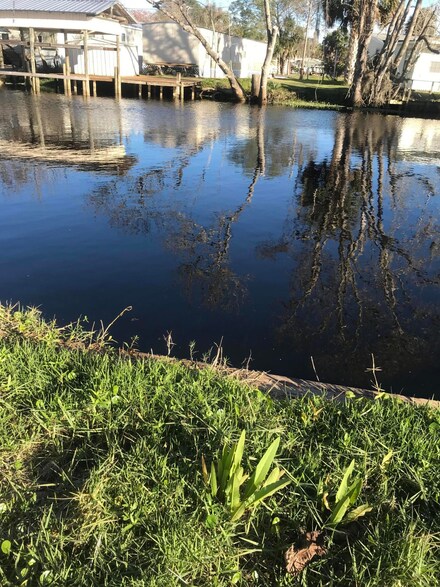 59 Carefree Dr, Welaka, FL 32193