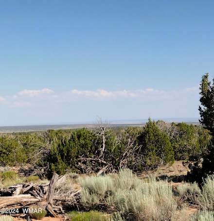 171 Cr N7113 Unit Red Sky Ranch, St. Johns, AZ 85936