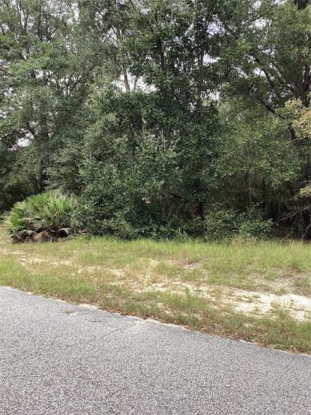 00 Locust Terrace Run, Ocala, FL 34472