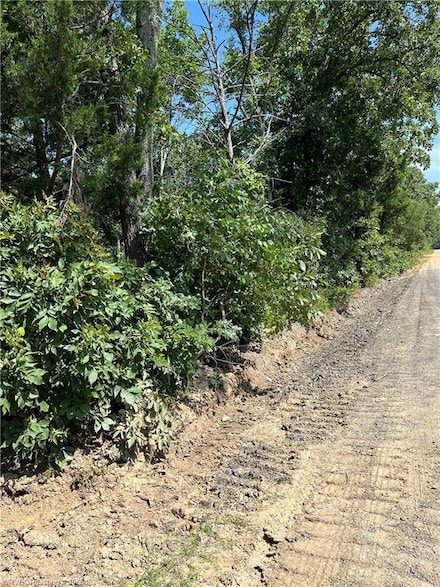 Tract C Tbd N4550 Rd, Whitesboro, OK 74577