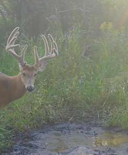 TBD County Highway 73, Oak Valley Township, MN 56527