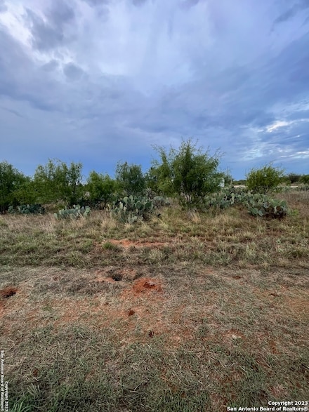 TBD Cr 3435 Lot 8 Blk 9, Pearsall, TX 78061