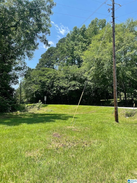 HWY 30 Old Highway 25, Columbiana, AL 35051