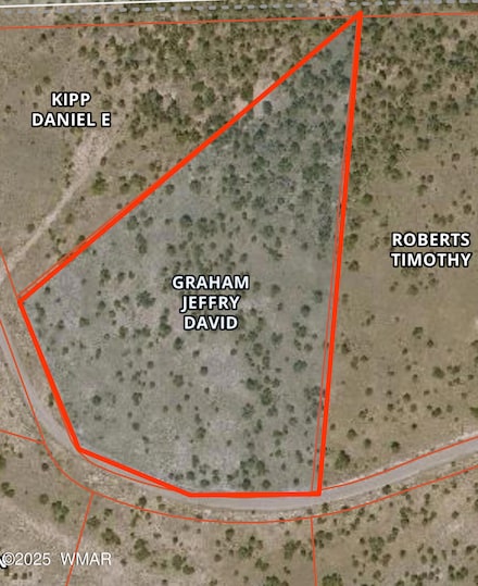 Lot 49 Windsor Valley Ranch, Concho, AZ 85924
