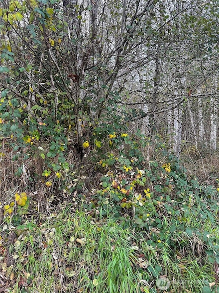 7615 Sprucecrest St SW, Olympia, WA 98512