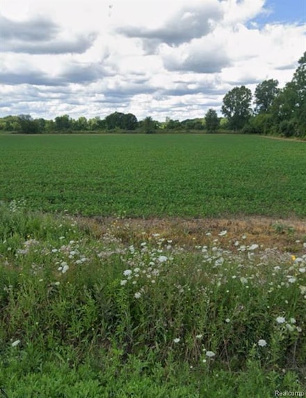 2.0 Acres Vacant Lan Coon Creek Rd, Armada, MI 48005